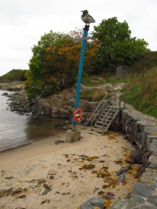 Золотая осень в Хельсинки - Суоменлинна. На пароме.