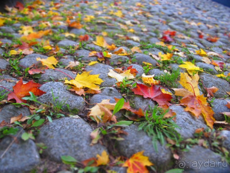 Золотая осень в Хельсинки - Суоменлинна. На пароме.