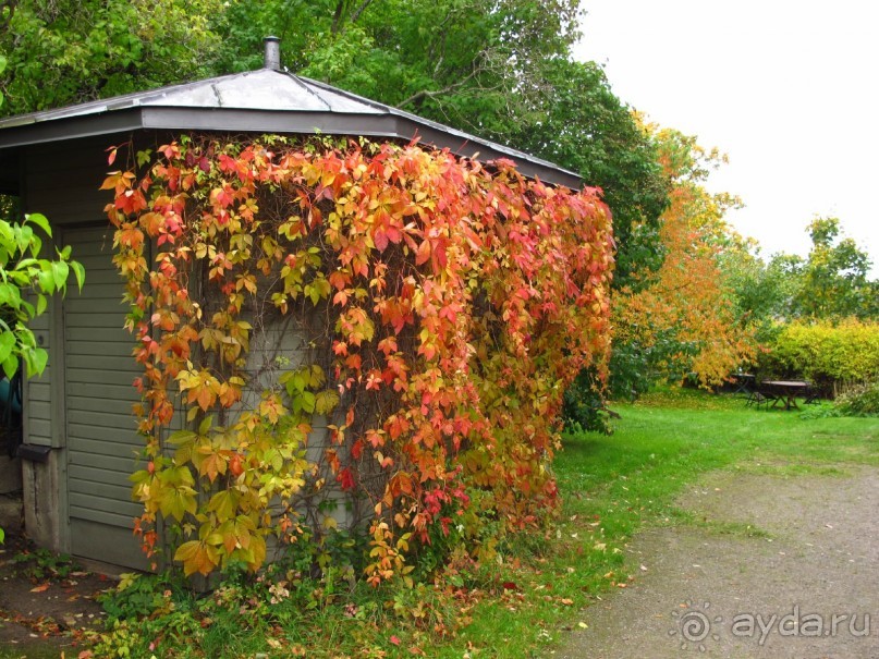 Золотая осень в Хельсинки - Суоменлинна. На пароме.