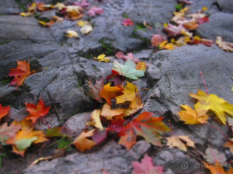 Золотая осень в Хельсинки - Суоменлинна. На пароме.