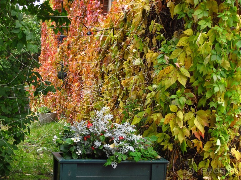 Золотая осень в Хельсинки - Суоменлинна. На пароме.