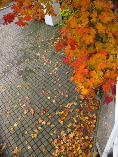 Золотая осень в Хельсинки - Суоменлинна. На пароме.