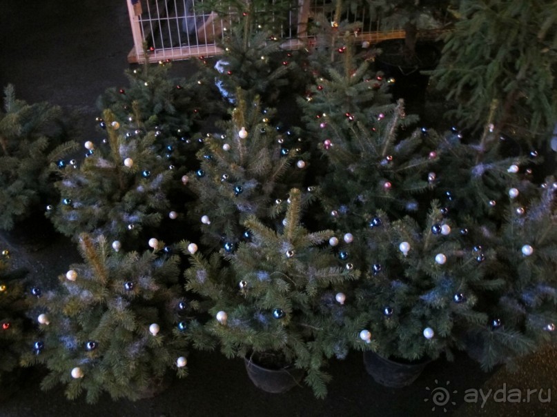 Санкт - Петербург Новый год 2014