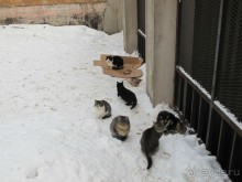 Рига. Романтическая поездка в Рождество в преддверии конца света.