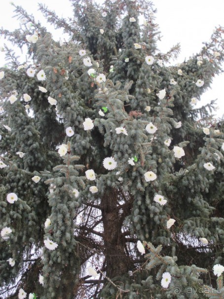 Рига. Романтическая поездка в Рождество в преддверии конца света.