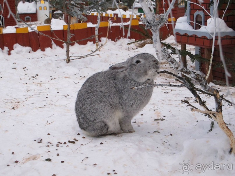 Рига. Романтическая поездка в Рождество в преддверии конца света.