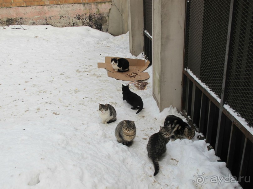 Рига. Романтическая поездка в Рождество в преддверии конца света.