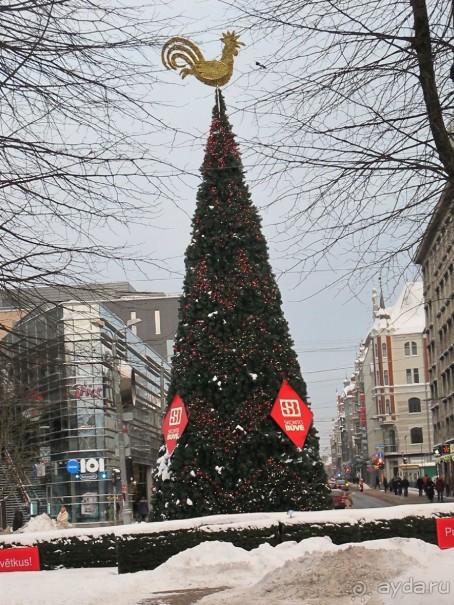 Рига. Романтическая поездка в Рождество в преддверии конца света.