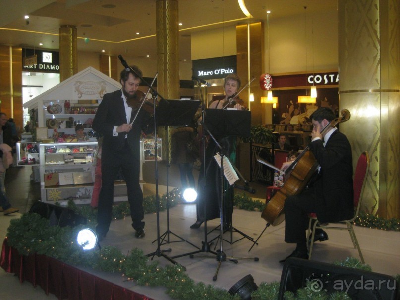 Приезжайте в Петербург на Новый Год!