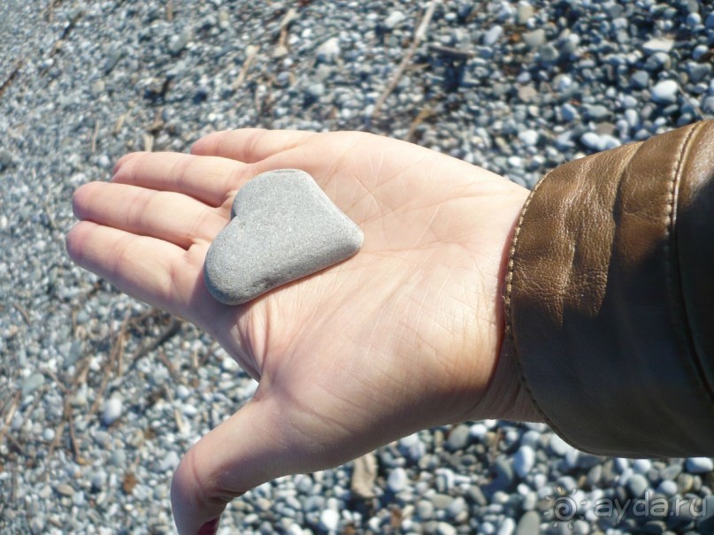 Отличный отель с чудесными и гостеприимными хозяевами!!!