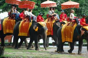 Путешествие в Таиланд: куда отправиться, что посмотреть и как планировать бюджет.