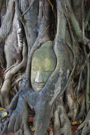 Путешествие в Таиланд: куда отправиться, что посмотреть и как планировать бюджет.