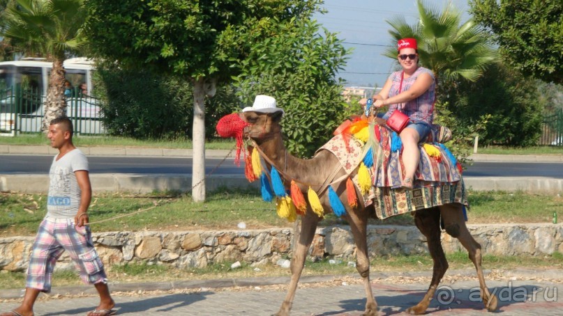 фото M.C Arancia Resort