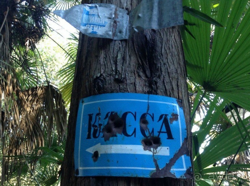 В здравом уме больше ни ногой...