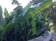 В здравом уме больше ни ногой...