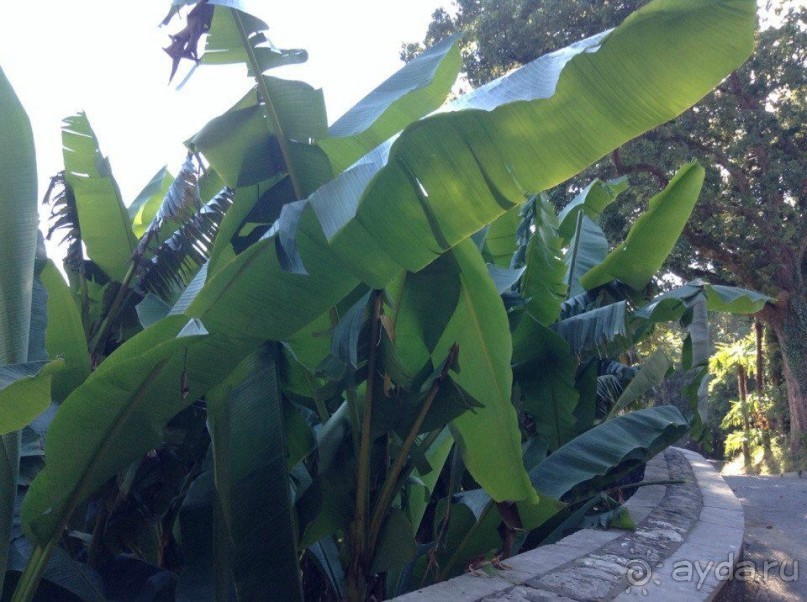 В здравом уме больше ни ногой...