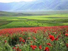 Гастрономический тур AGRITURISMO