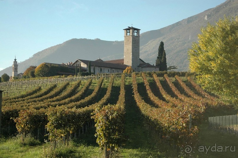 Гастрономический тур AGRITURISMO