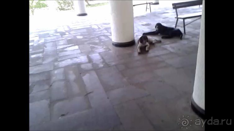 Самый ужасный пансионат за 15 лет отдыха на море.