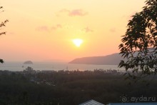 Отзывы о Bizphuket.Net: хорошо, что мы им поверили