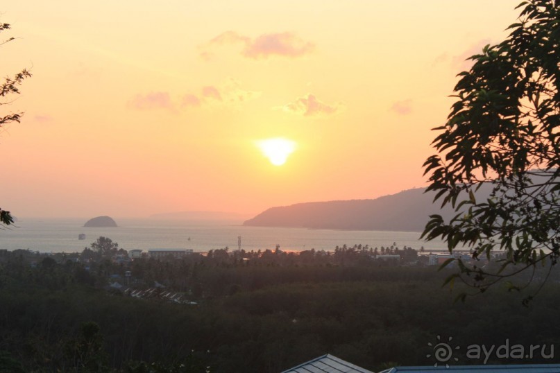 Отзывы о Bizphuket.Net: хорошо, что мы им поверили