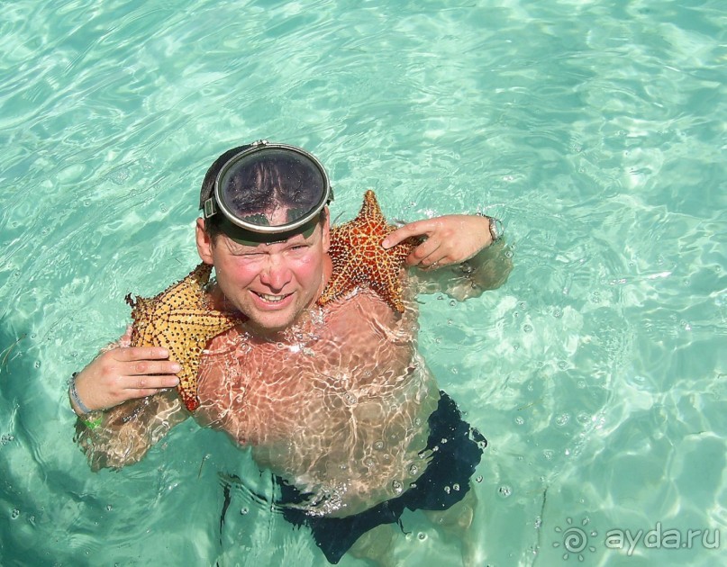 Доминикана - это рай! Отель Barcelo Bavaro Palace Deluxe