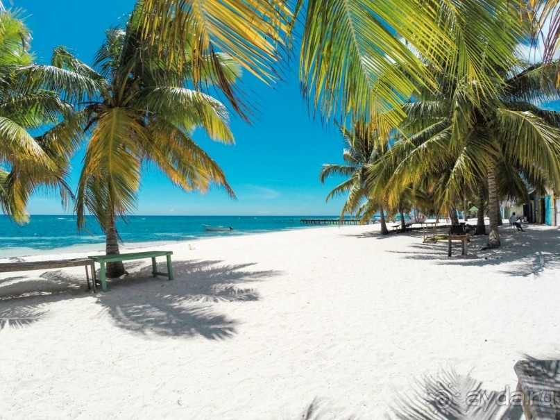 Доминикана - это рай! Отель Barcelo Bavaro Palace Deluxe