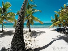 Доминикана - это рай! Отель Barcelo Bavaro Palace Deluxe