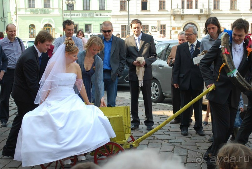 Свадьба, жених одевает хомут!