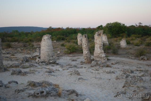 каменный лес