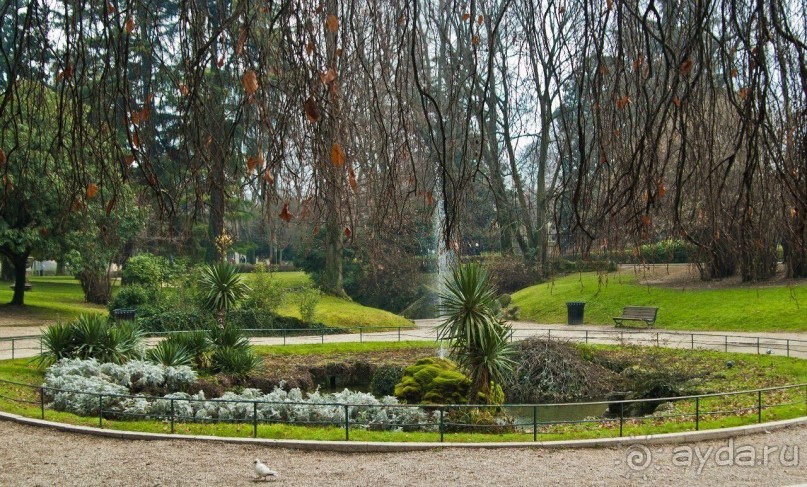 Чудесная Падуя: что посмотреть в окрестностях Венеции (Цикл 1 "Новогодние иголки", №1)