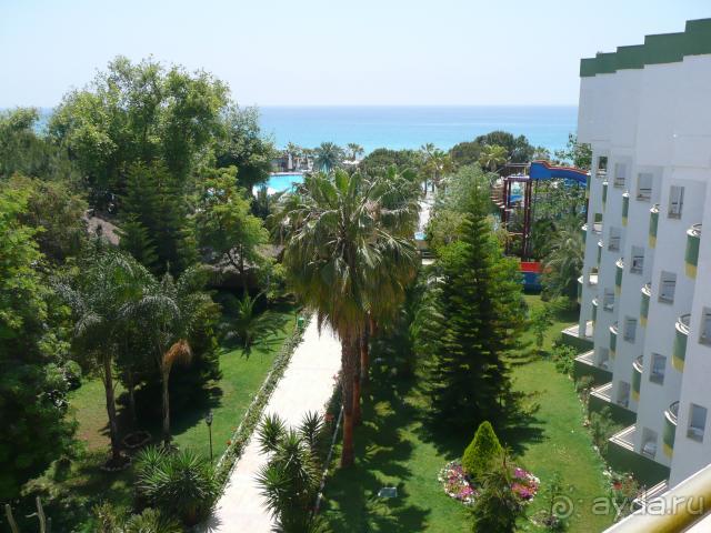 Вид из номера