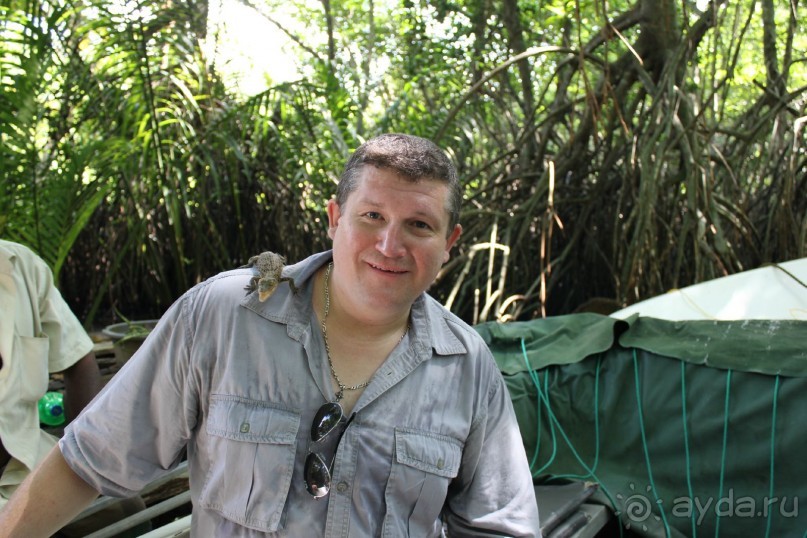 Отдых в отеле Villa okean view в Шри-Ланке и экскурсии.