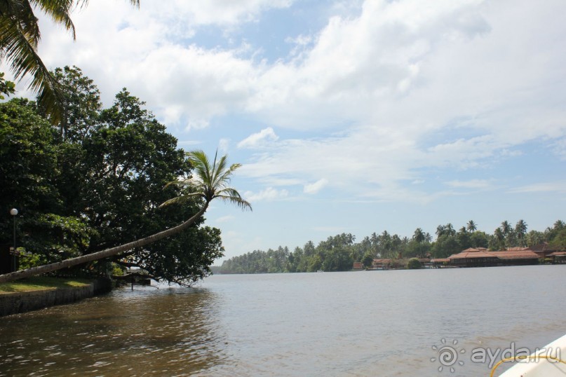 Отдых в отеле Villa okean view в Шри-Ланке и экскурсии.