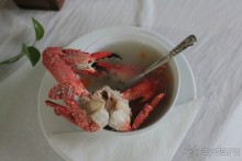 Отдых в отеле Villa okean view в Шри-Ланке и экскурсии.