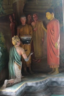 Отдых в отеле Villa okean view в Шри-Ланке и экскурсии.