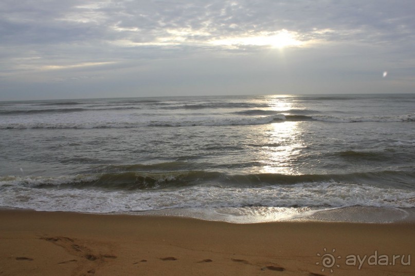 Отдых в отеле Villa okean view в Шри-Ланке и экскурсии.