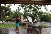 Отдых в отеле Villa okean view в Шри-Ланке и экскурсии.