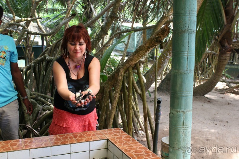 Отдых в отеле Villa okean view в Шри-Ланке и экскурсии.