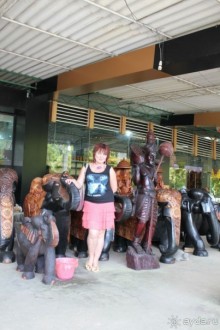 Отдых в отеле Villa okean view в Шри-Ланке и экскурсии.