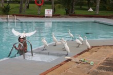 Отдых в отеле Villa okean view в Шри-Ланке и экскурсии.