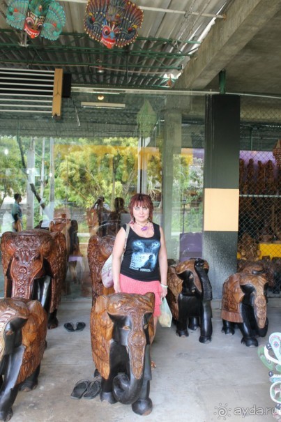 Отдых в отеле Villa okean view в Шри-Ланке и экскурсии.