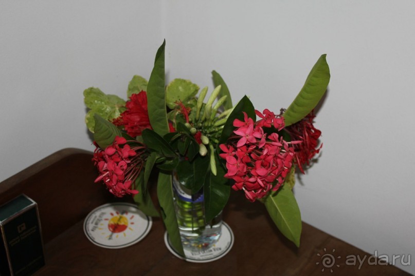 Отдых в отеле Villa okean view в Шри-Ланке и экскурсии.