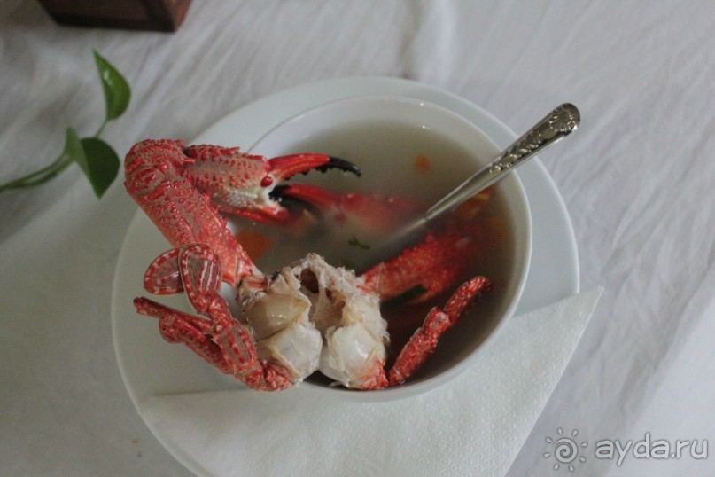 Отдых в отеле Villa okean view в Шри-Ланке и экскурсии.