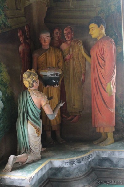 Отдых в отеле Villa okean view в Шри-Ланке и экскурсии.