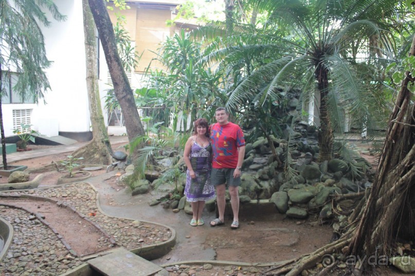 Отдых в отеле Villa okean view в Шри-Ланке и экскурсии.