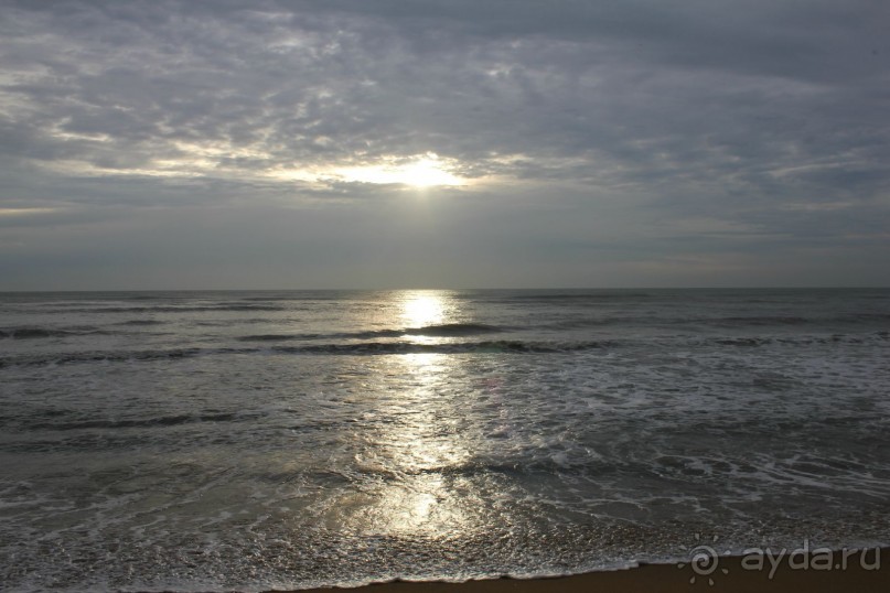 Отдых в отеле Villa okean view в Шри-Ланке и экскурсии.