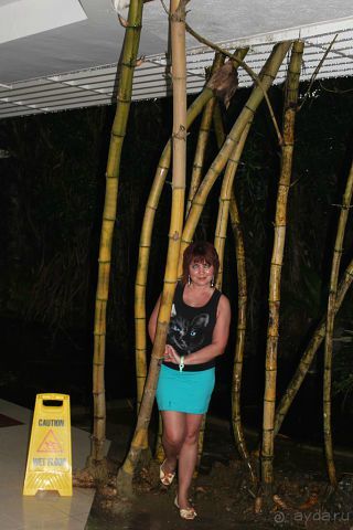 Отдых в отеле Villa okean view в Шри-Ланке и экскурсии.