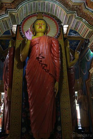 Отдых в отеле Villa okean view в Шри-Ланке и экскурсии.