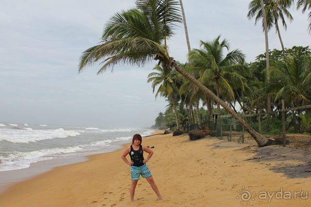Отдых в отеле Villa okean view в Шри-Ланке и экскурсии.